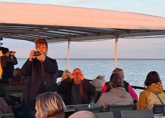 Mitarbeitende fotografieren während des Ausflugs vom Schiff aus die Abendstimmung auf der Müritz Mitarbeitende fotografieren während des Ausflugs vom Schiff aus die Abendstimmung auf der Müritz