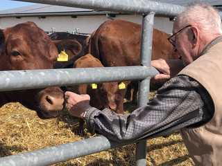 Ein Bewohner des Immanuel Haus Ecktannen streichelt eine Kuh