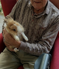 Ein Kaninchen auf dem Arm eines Bewohners im Immanuel Haus Ecktannen