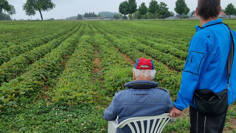 Nach erfolgreicher Ernte ruhen sich die beiden Besucher am Feld aus